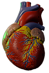 monster-medics-high-quality-video monster-medics-high-quality-video