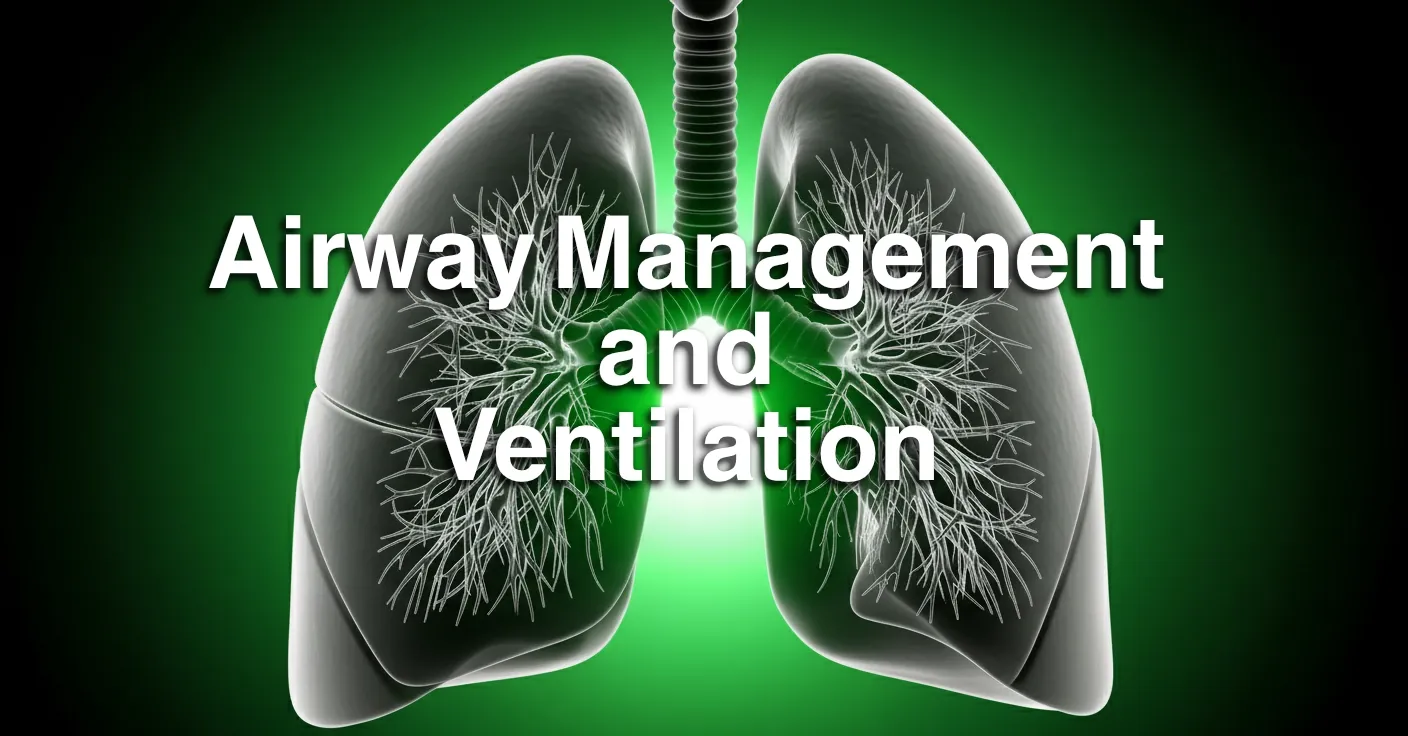 5-0-Airway_result