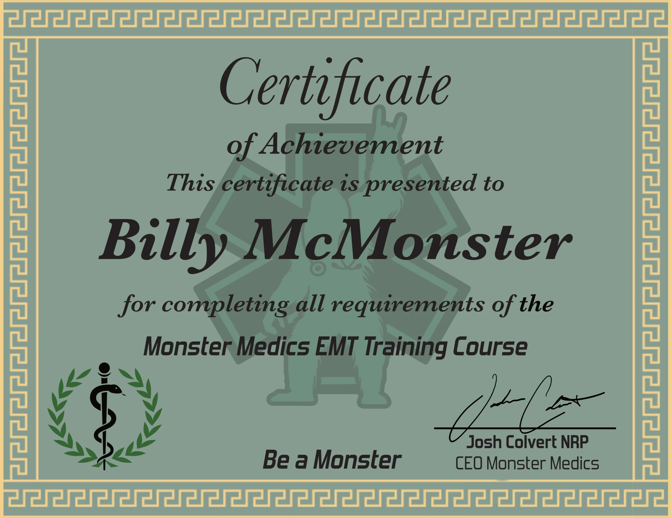 Monster Medics Certificate