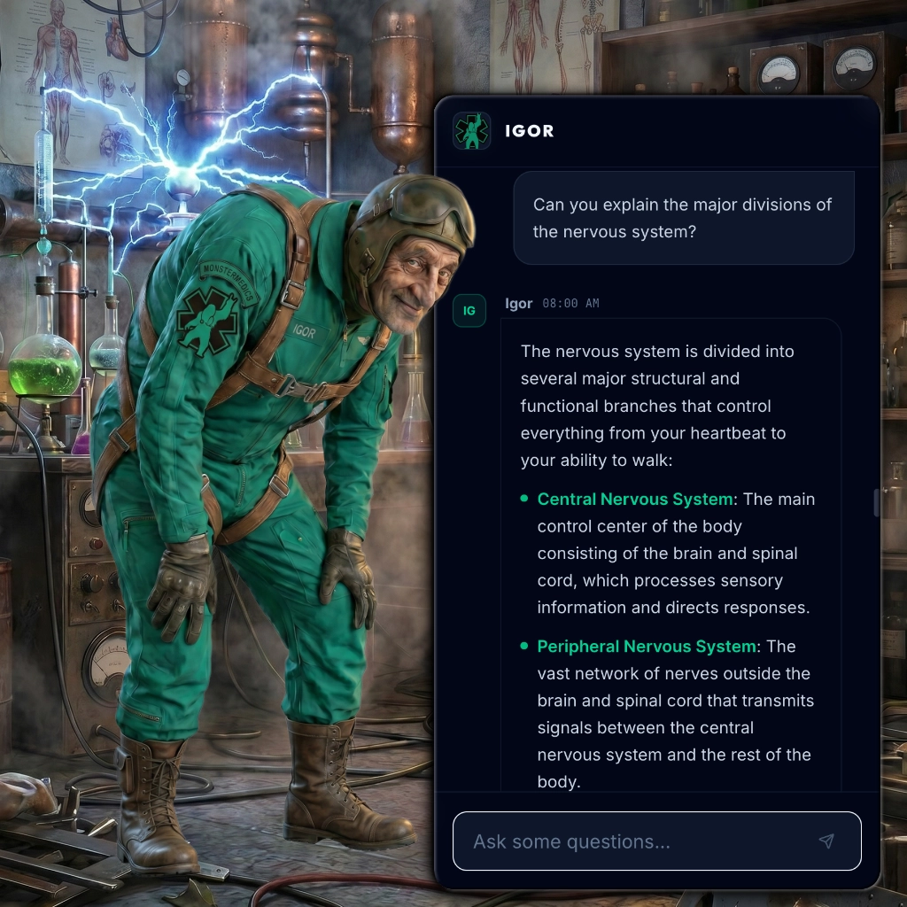Igor App Image